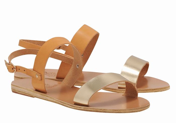 Sandales Bride Arrière Ancient Greek Sandals Clio   | ZPM-2109931